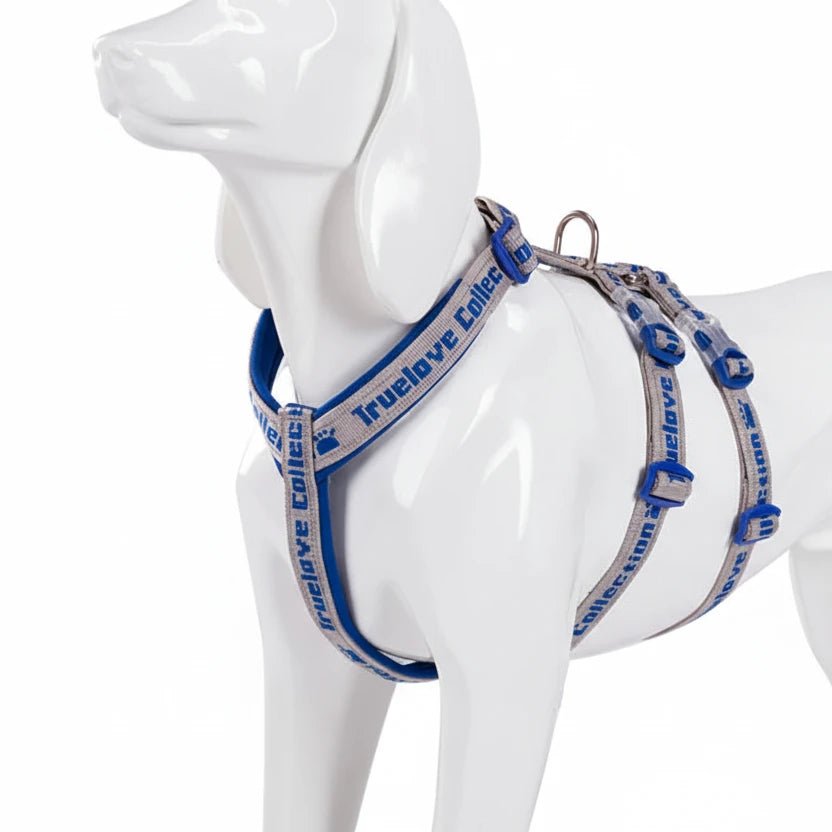 Harnais chien en t sur n mannequin chien 