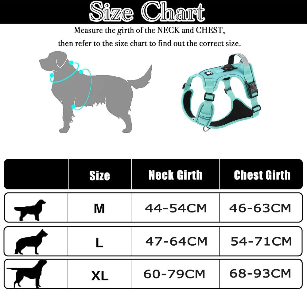 Harnais chien malinois dimensions 