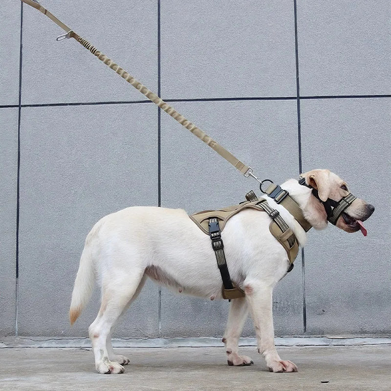 Harnais pour petit chien durable de couleur kaki sur un chien de couleur blanc. Image produit Boutiquechien