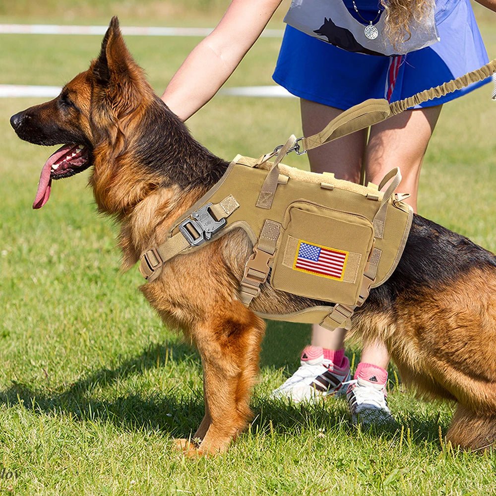 Harnais chien police sur un grand chien 