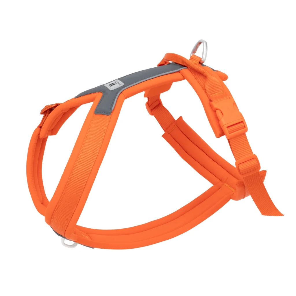 Harnais chien xl orange