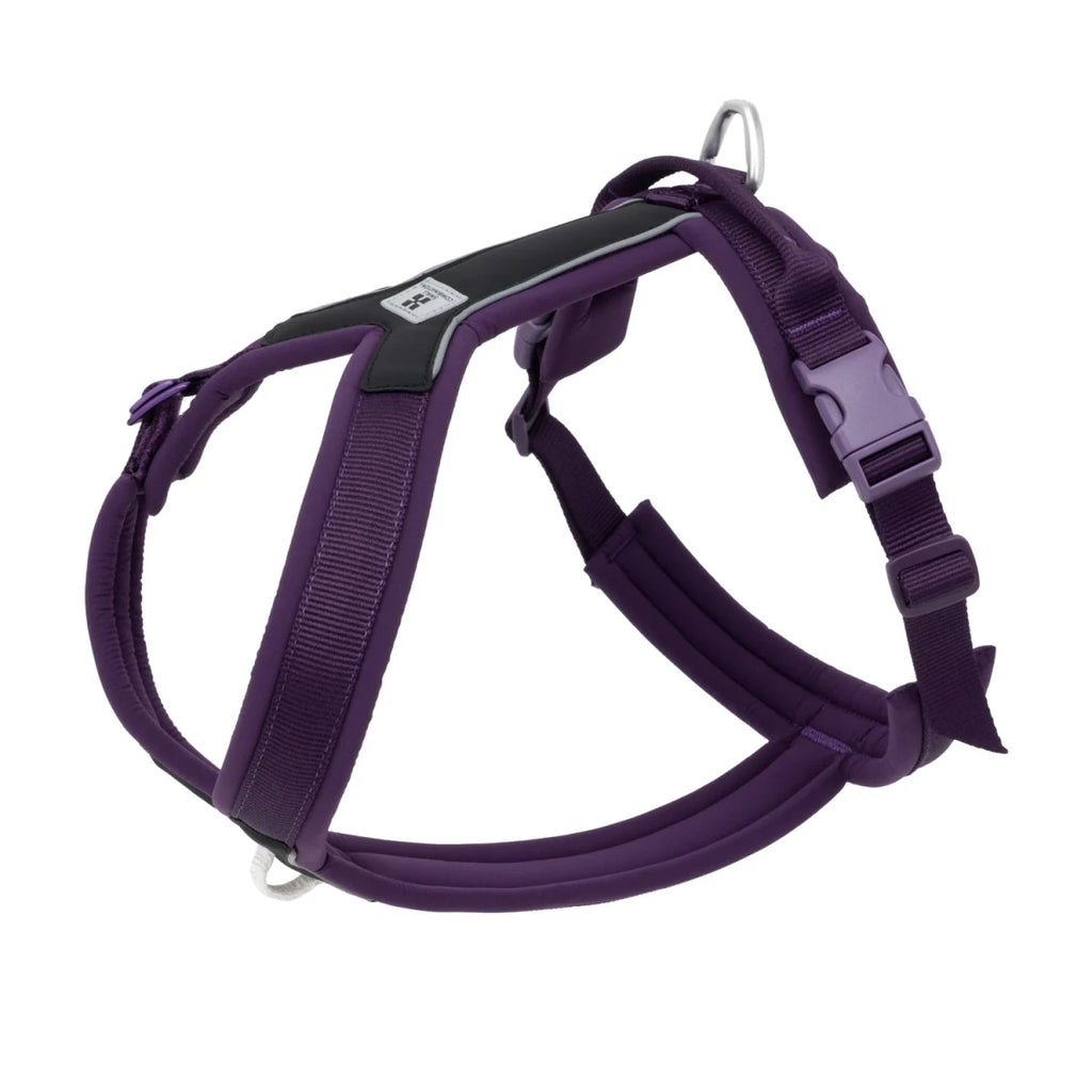 Harnais chien xl violet