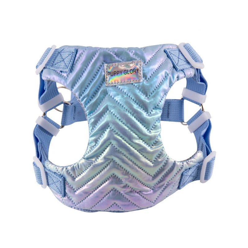 Harnais chiot 4 mois bleu