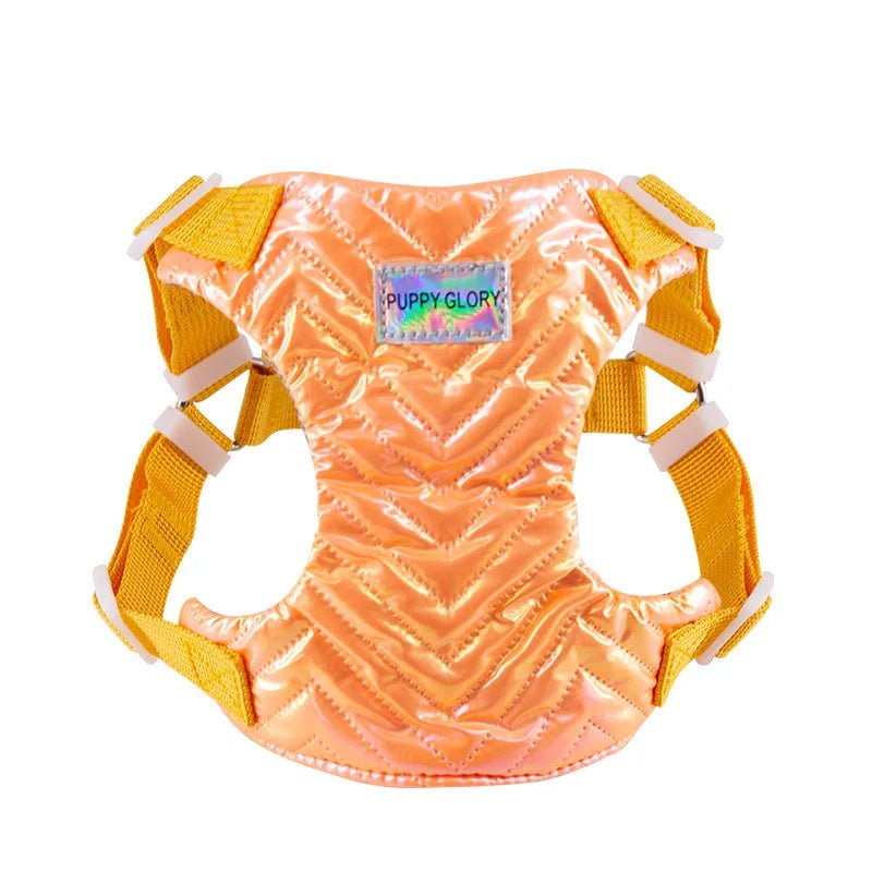 Harnais chiot 4 mois orange 