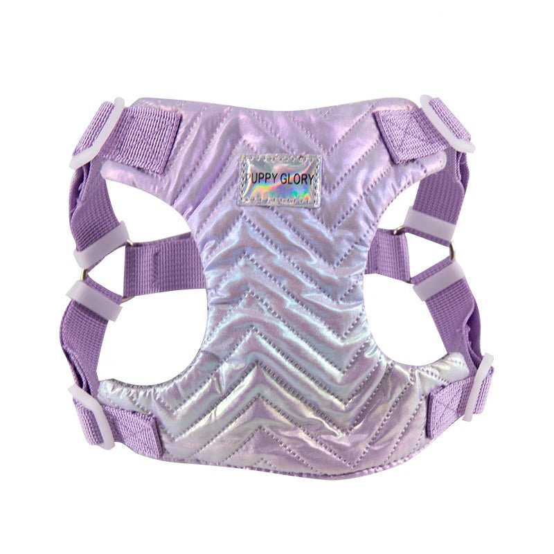 Harnais chiot 4 mois violet 