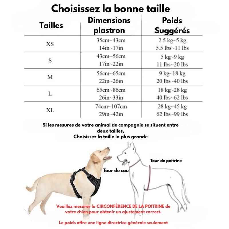 dimensions total en forme de tableau du harnais pour chiot de bioutiquechien