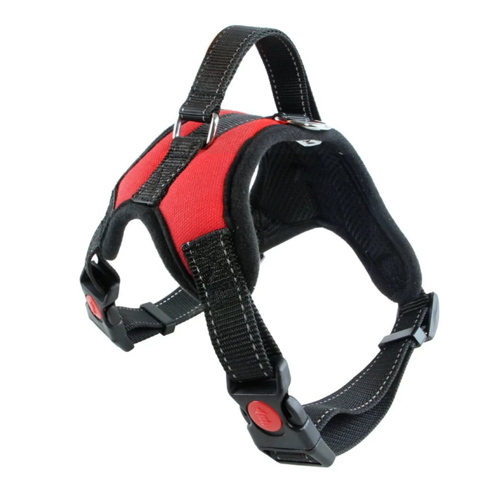 Harnais chiot beagle de couleur rouge et noir de boutiquechien