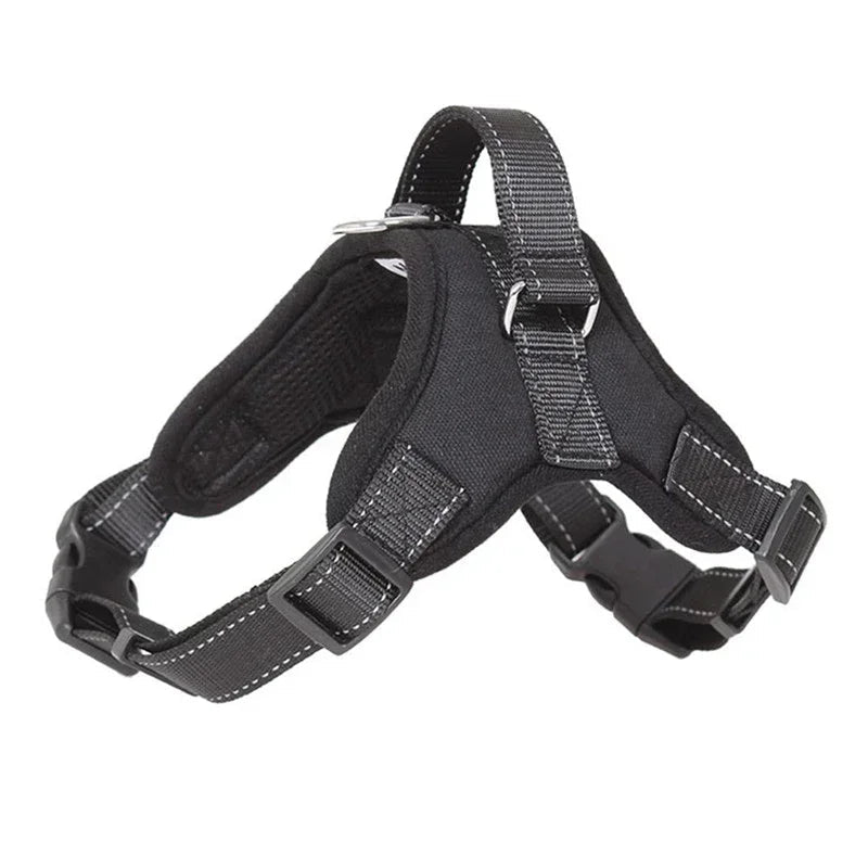 harnais pour chiot carlin de couleur noir 