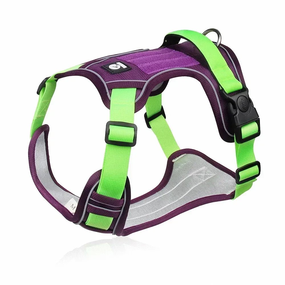 Harnais chiot en y violet et vert