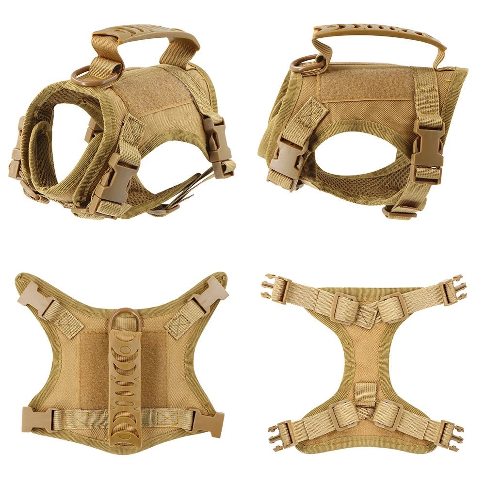 totalité des vues du harnais chiot malinois de couleur claire 