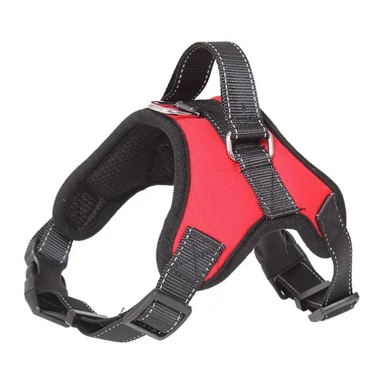 Harnais chiot teckel de couleur rouge et noir avec une poignée noir