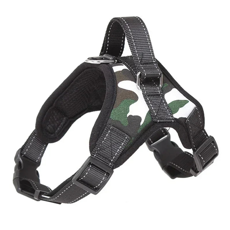 Harnais chiot yorkshire de couleur noir et kaki 
