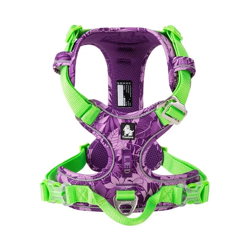 Harnais confort gros chien colore de couleur violet et vert 