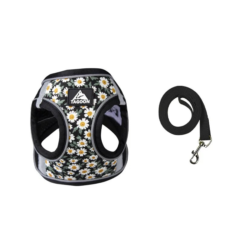 Harnais chiot de couleur noir à pâquerette. La laisse est avec de même couleur que le harnais petit chien. Image produit Boutiquechien 