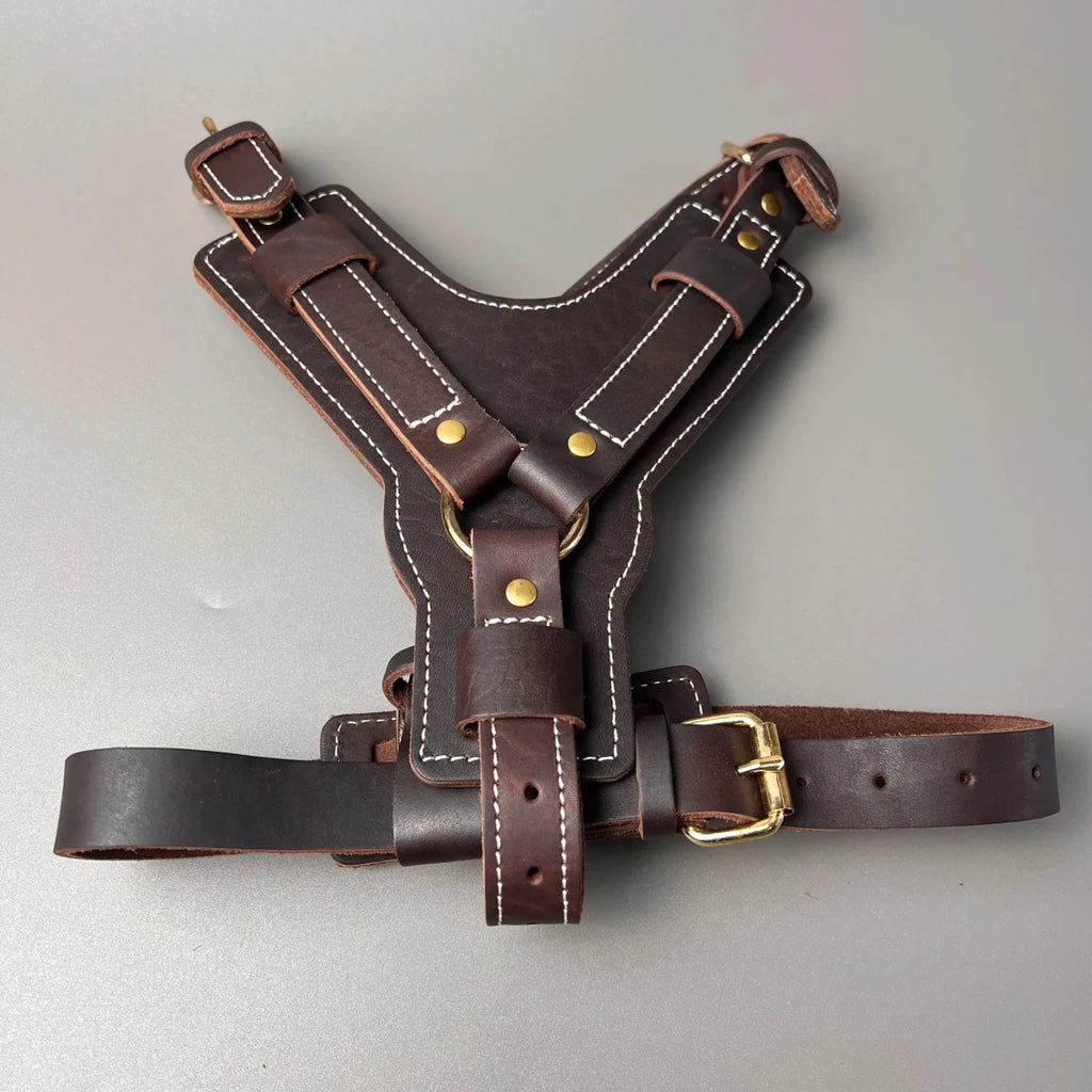 Harnais pour chien en Y cuir de boutiquechien