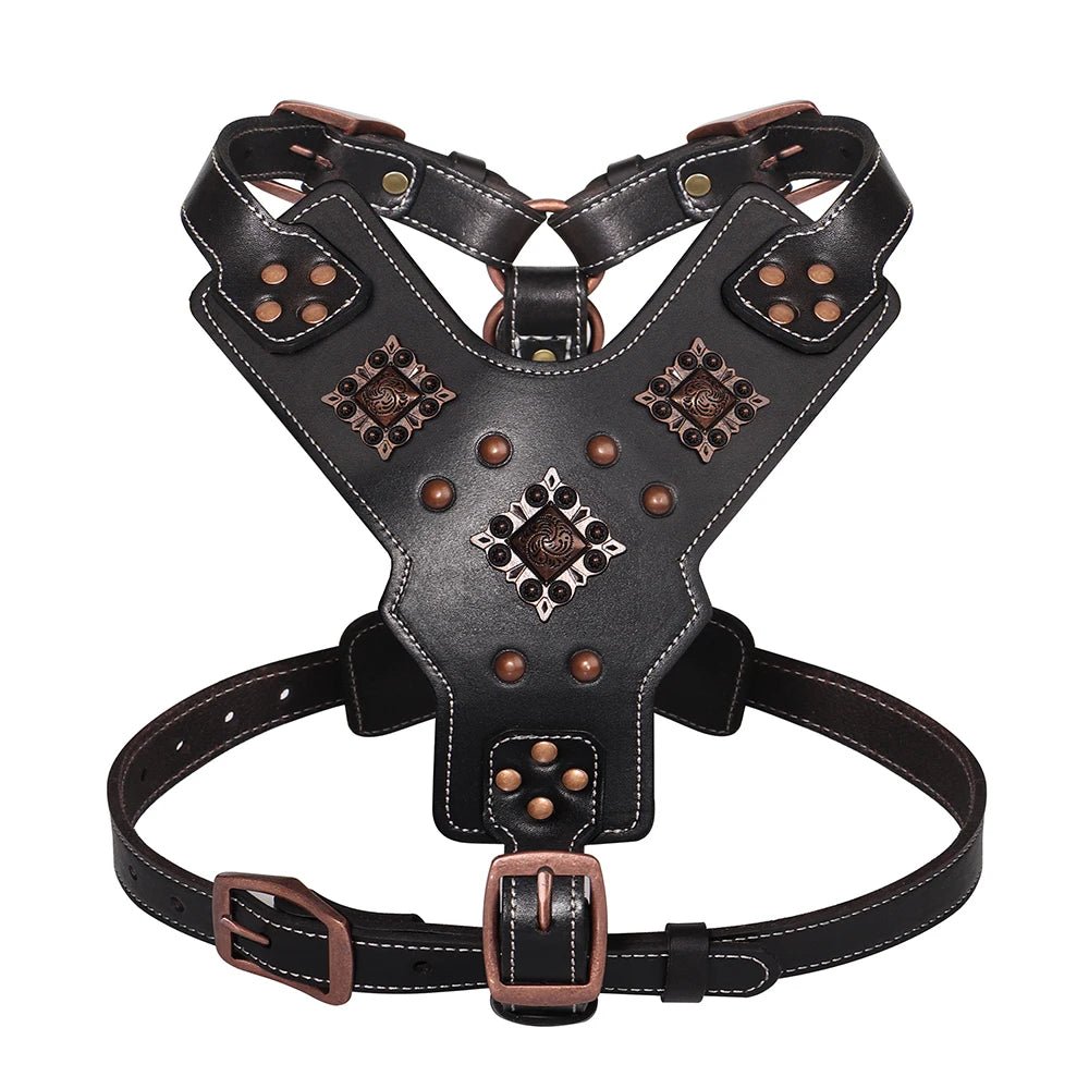 harnais gros chien cuir noir avec des motif. Image produit de boutiquechien