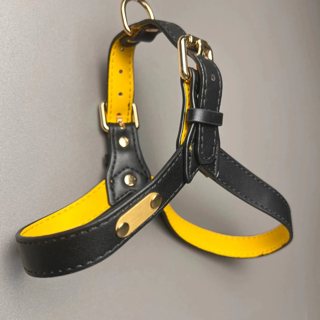 Harnais pour les chiens de couleur noir et jaune de boutiquechien