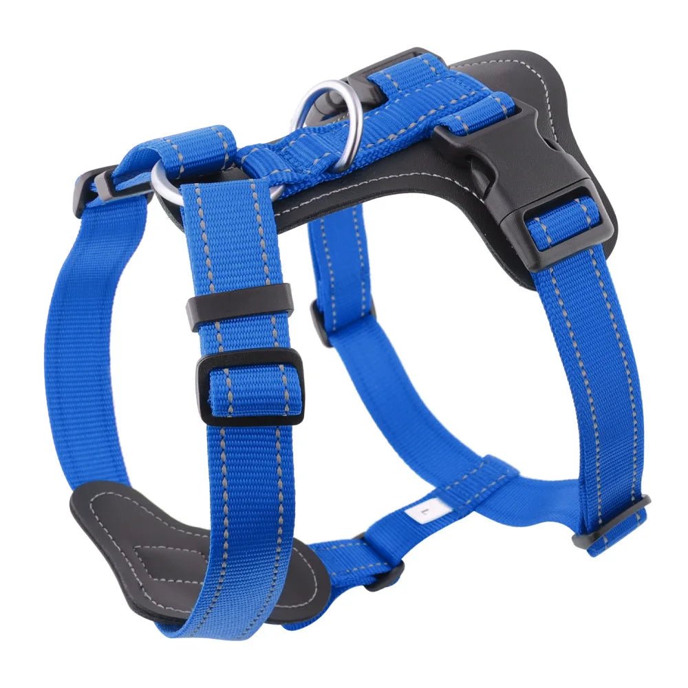Harnais cuir pour gros chien de couleur bleu et noir de boutiquechien