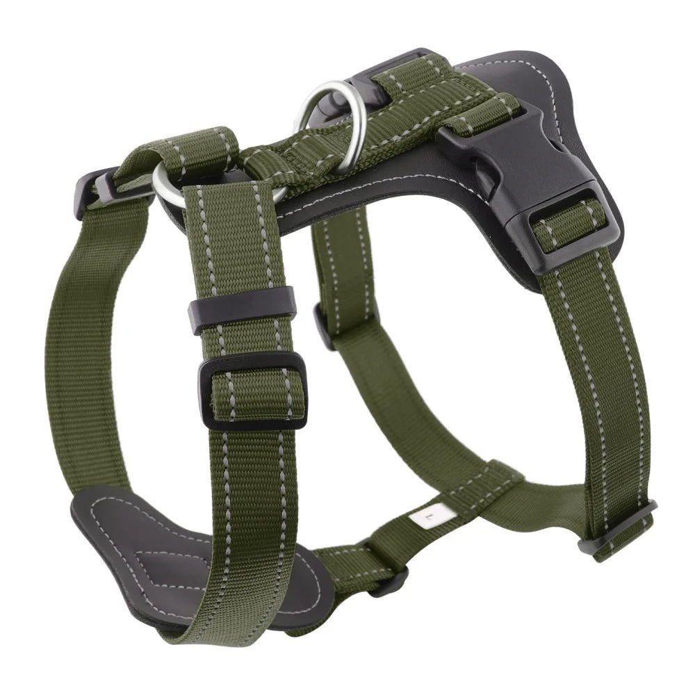 Harnais cuir pour gros chien de couleur noir et kaki 