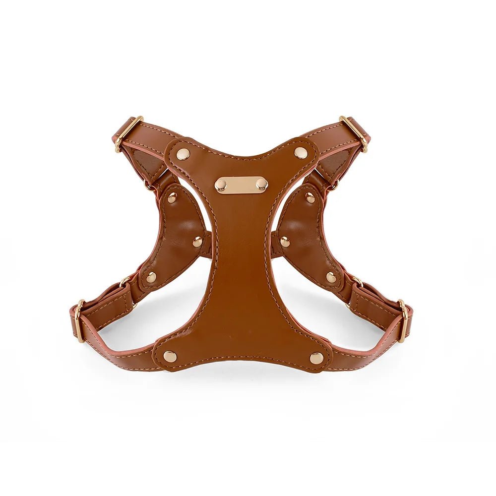 Harnais pour petit chien en cuir de couleur brun de boutiquechien