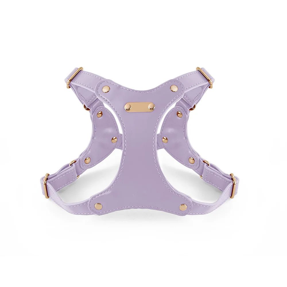Harnais pour petit chien en cuir  violet de couleur de boutiquechien