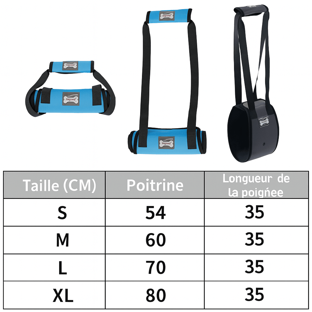 tableau des tailles du harnais de maintient pour chien de couleur Bleu et noir pour les chiens. Image produit Boutiquechien