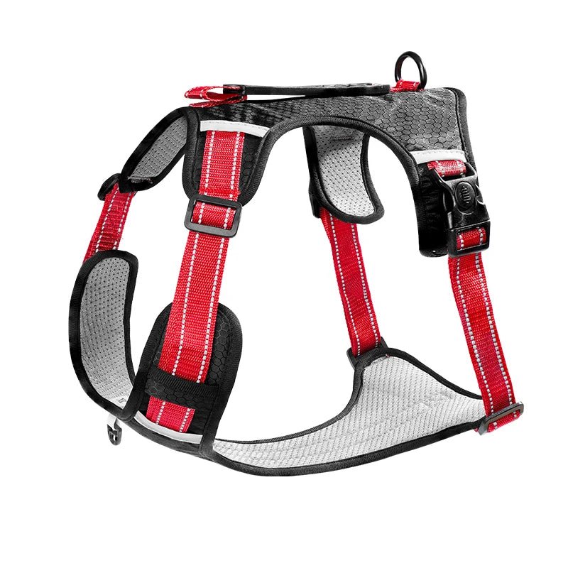Harnais de randonnée pour chien noir et rouge