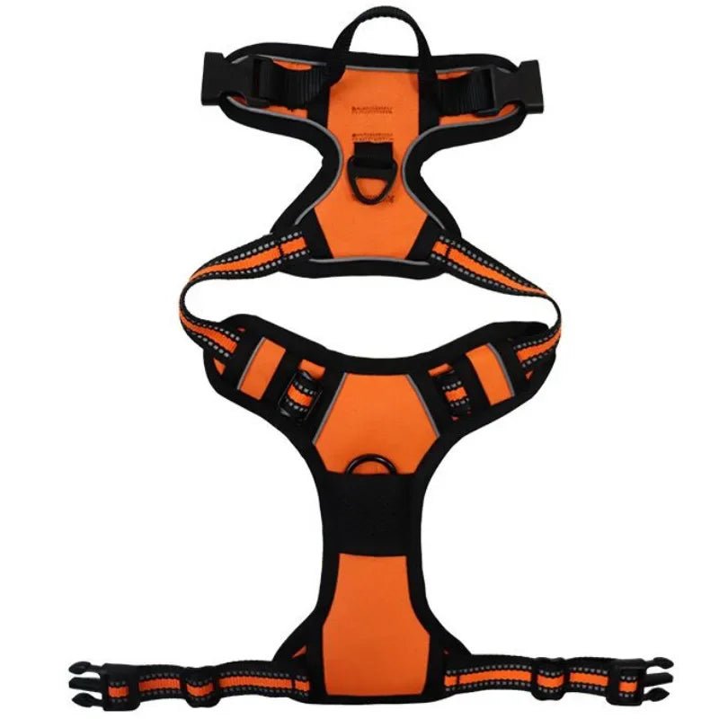 Harnais de securite pour petit chien de couleur orange et noir de boutiquechien