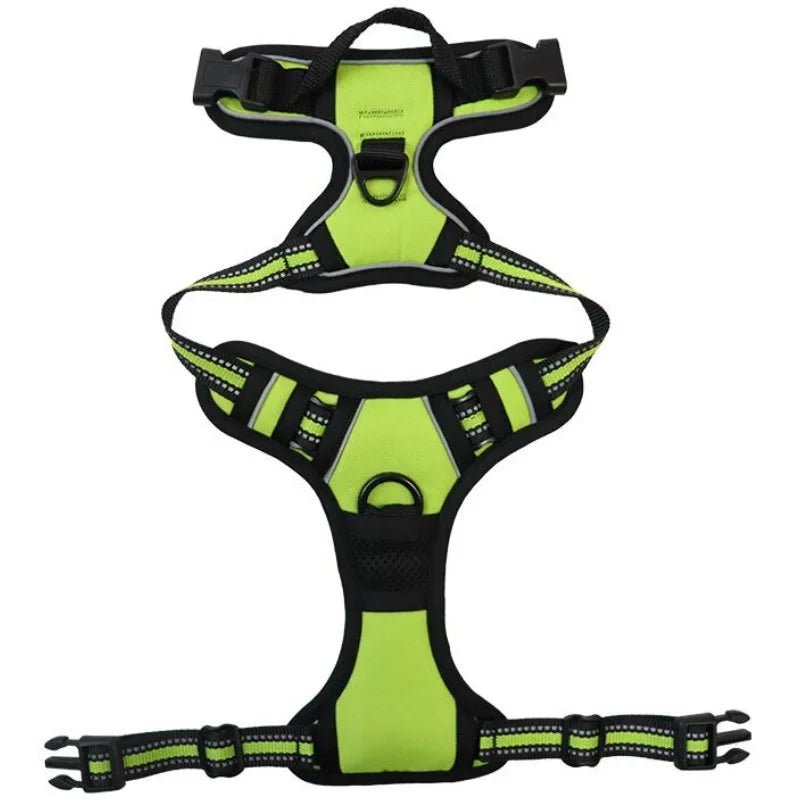 Harnais de securite pour petit chien de couleur noir et vert claire. Image produit de boutiquechien