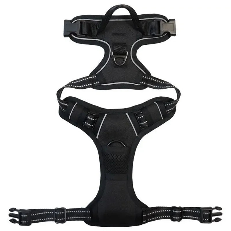 Harnais de securite pour petit chien de couleur noir et lumineux. Image produit boutiquechien