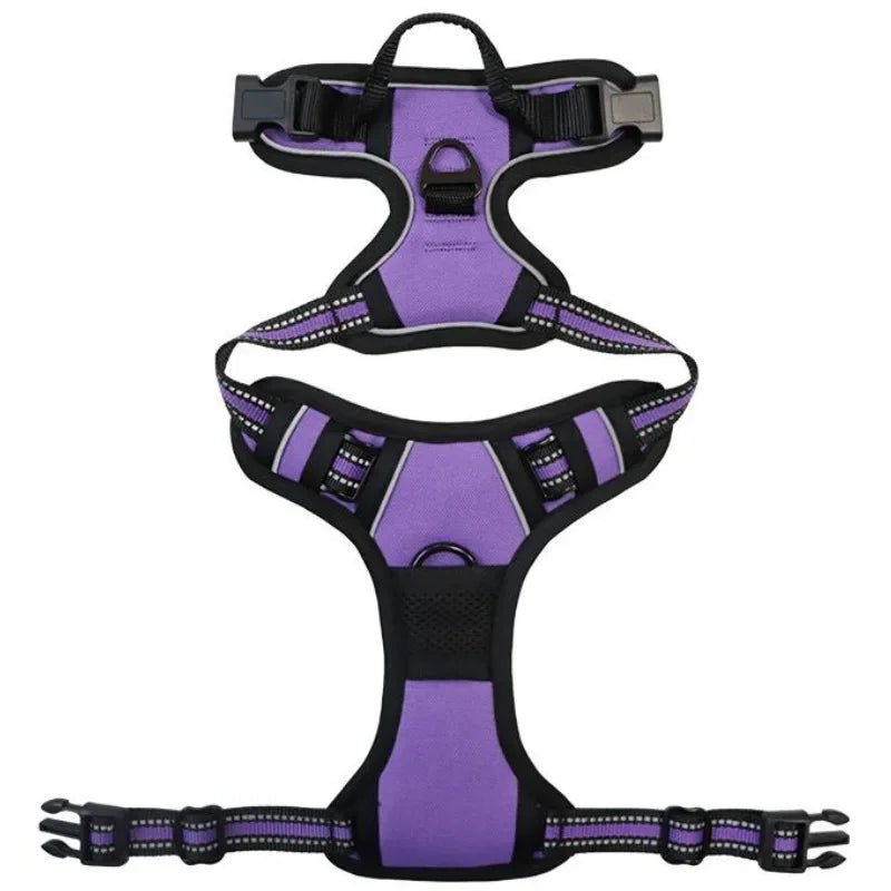 Harnais de securite pour petit chien de couleur violet et noir de boutiquechien