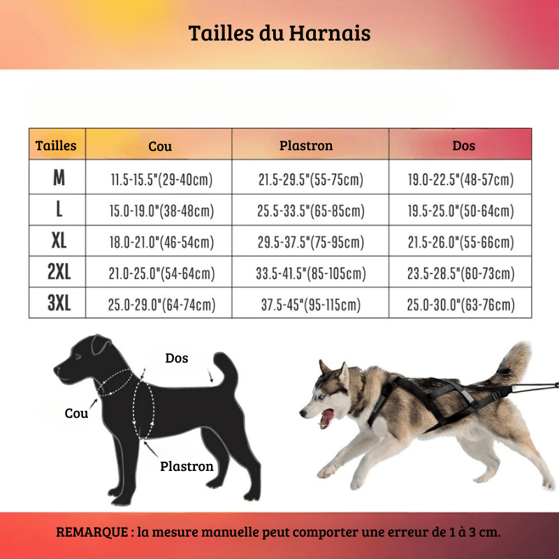 dimension du harnais canicross noir pour chien de M à 3XL. Fabriqué en nylon résistant 