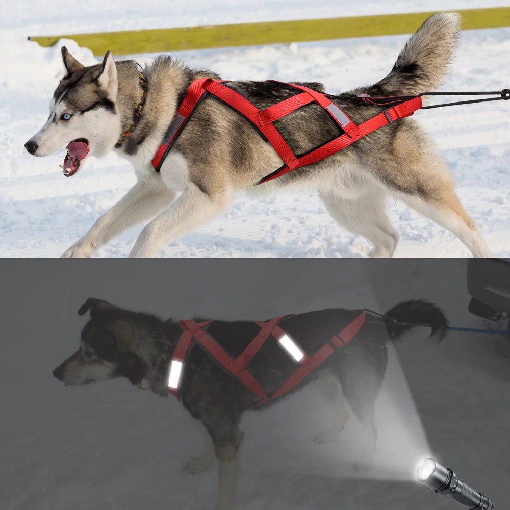 Harnais de traineau pour chien rouge 