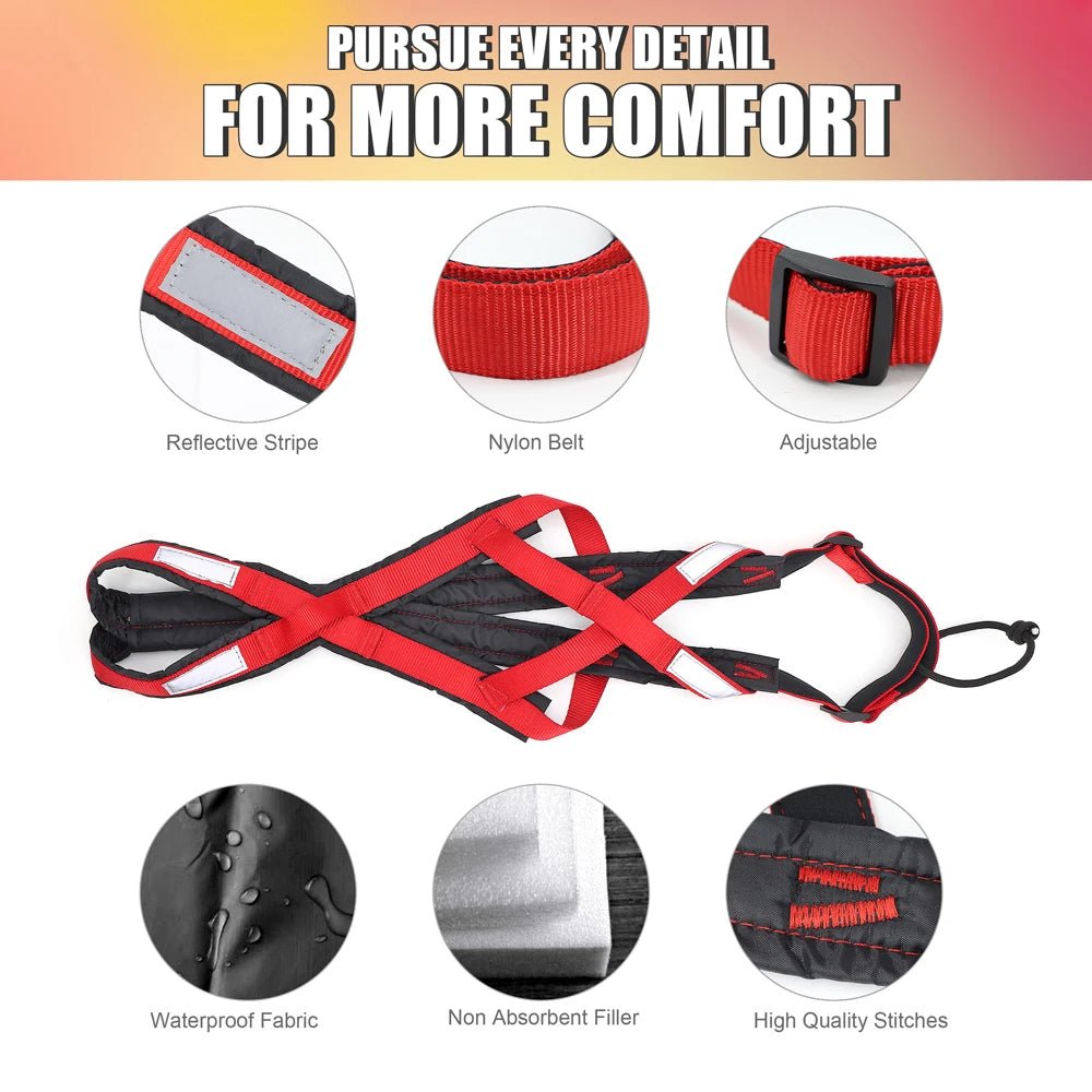 Harnais de traineau pour chien avantages 