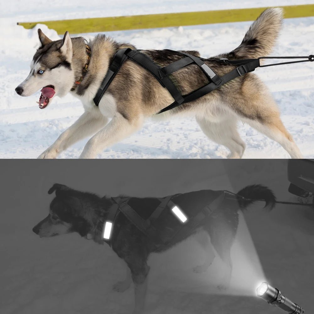 Harnais de traineau pour chien noir