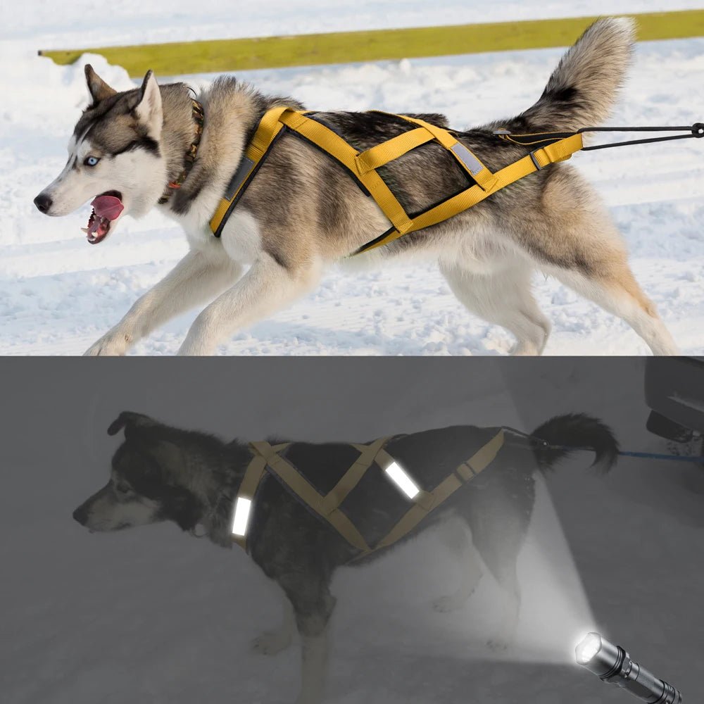 Harnais de traineau pour chien jaune 