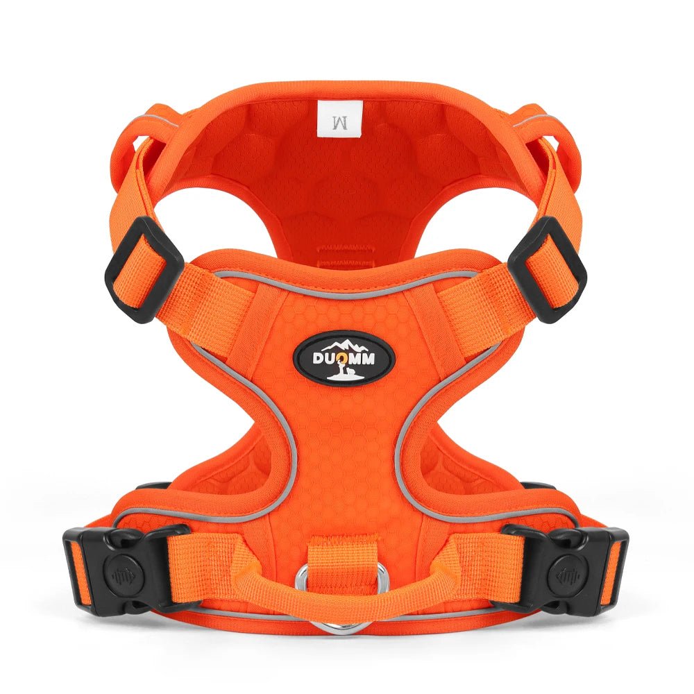 Harnais chien pour voiture de couleur orange et noir de boutiquechien