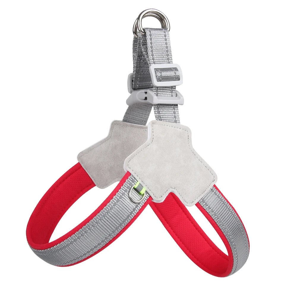 Harnais éducation chiot rouge