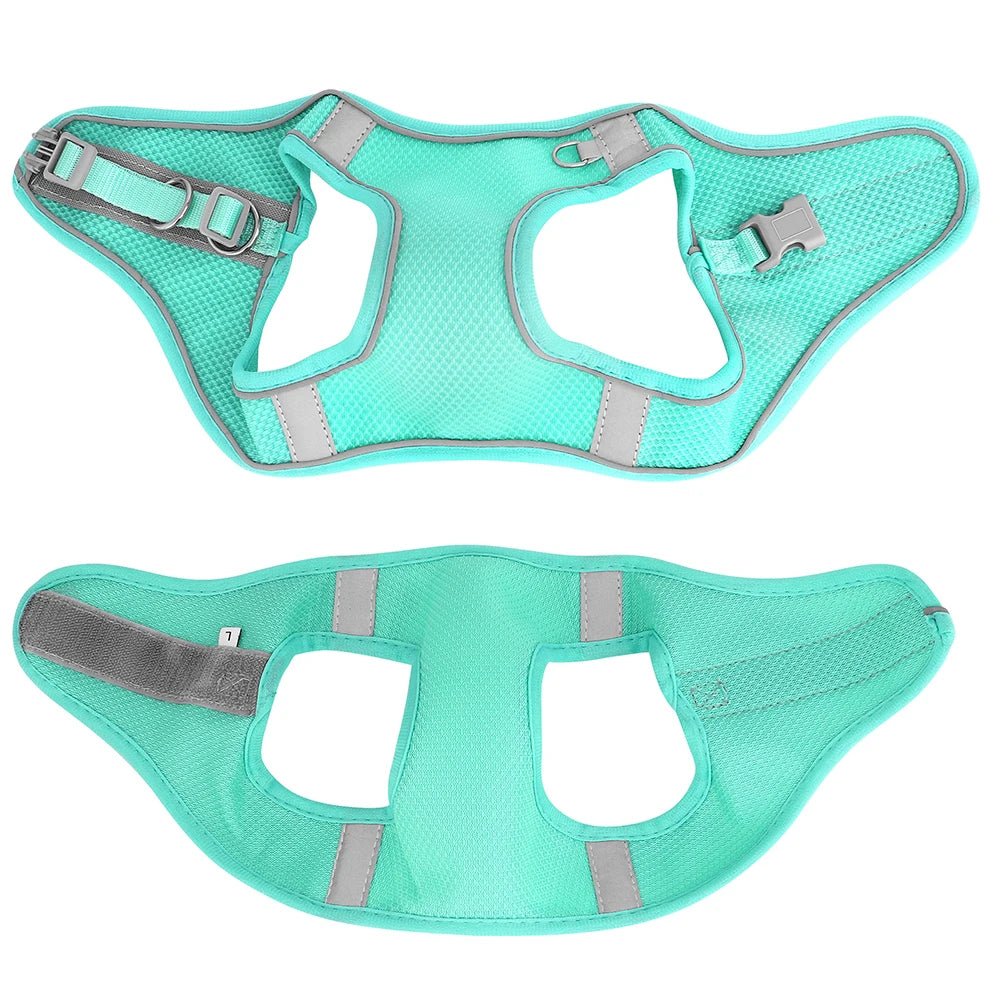 Mise en place du harnais chien de couleur turquois et réfléchissant détachable. Image produit Boutiquechien
