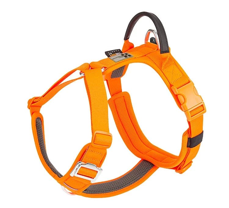 harnais pour gros chien couleur orange de boutiquechien