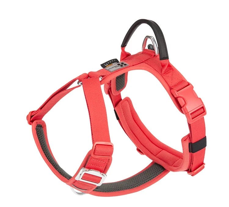 harnais pour gros chien couleur melon rose de boutiquechien