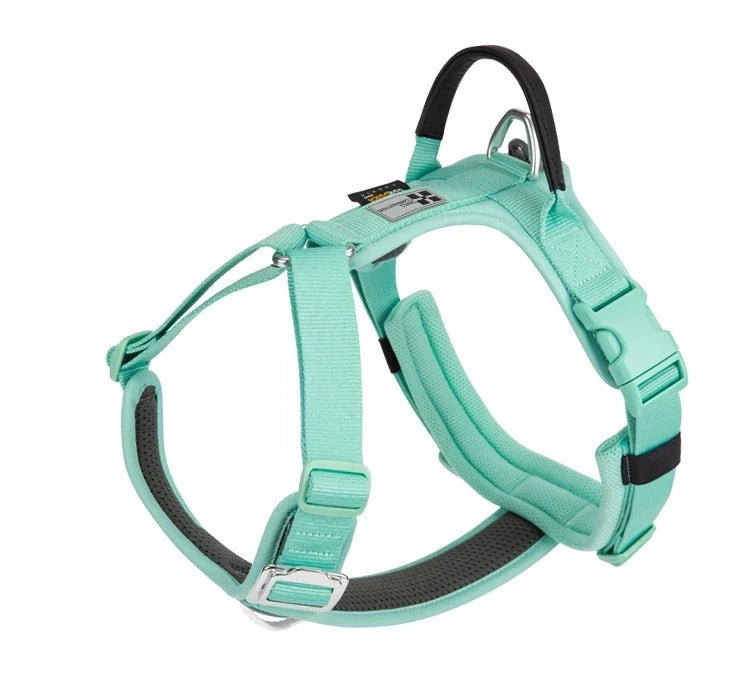 harnais pour gros chien couleur vert bleu de boutiquechien