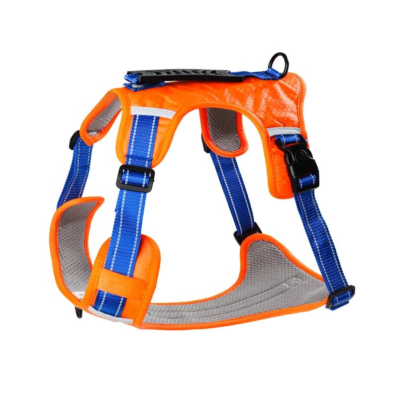 Harnais en y pour staffie orange
