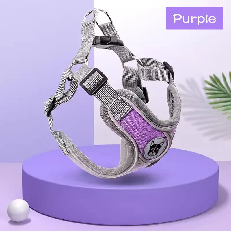 Harnais ergonomique chien violet 