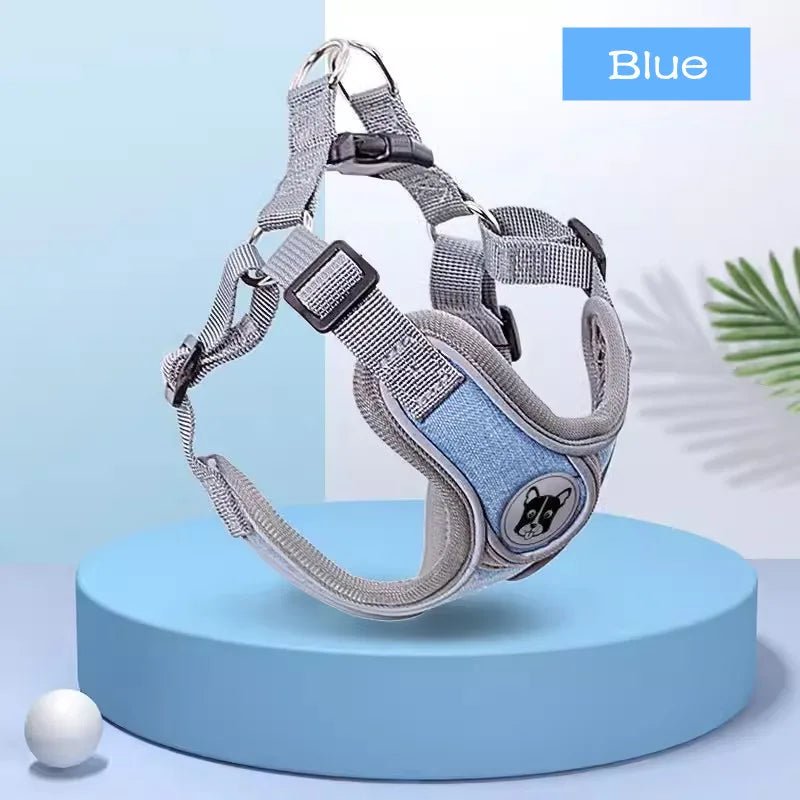 Harnais ergonomique chien bleu