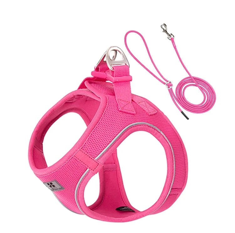 Harnais et laisse pour petit chien de couleur rose de boutiquechien