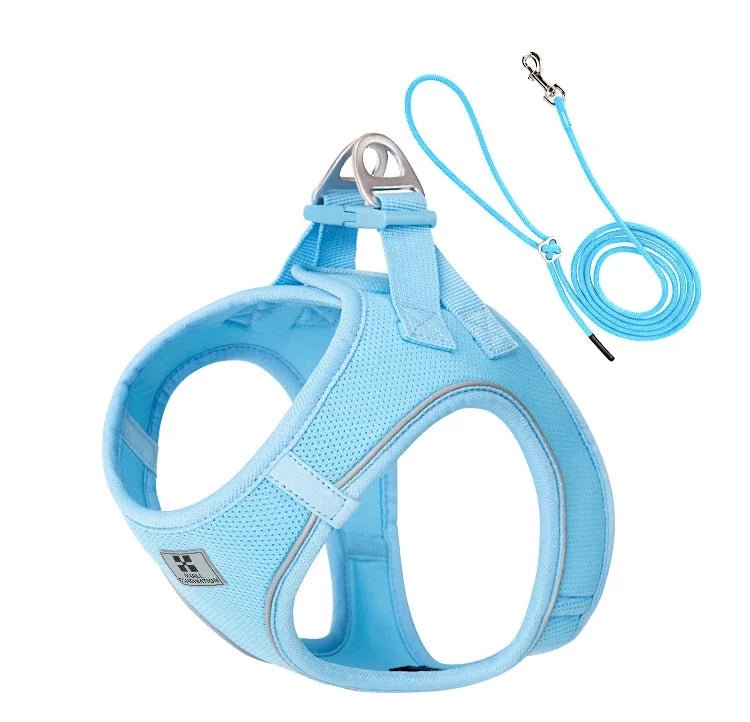 harnais et laisse bleu claire pour chiot de boutiquechien
