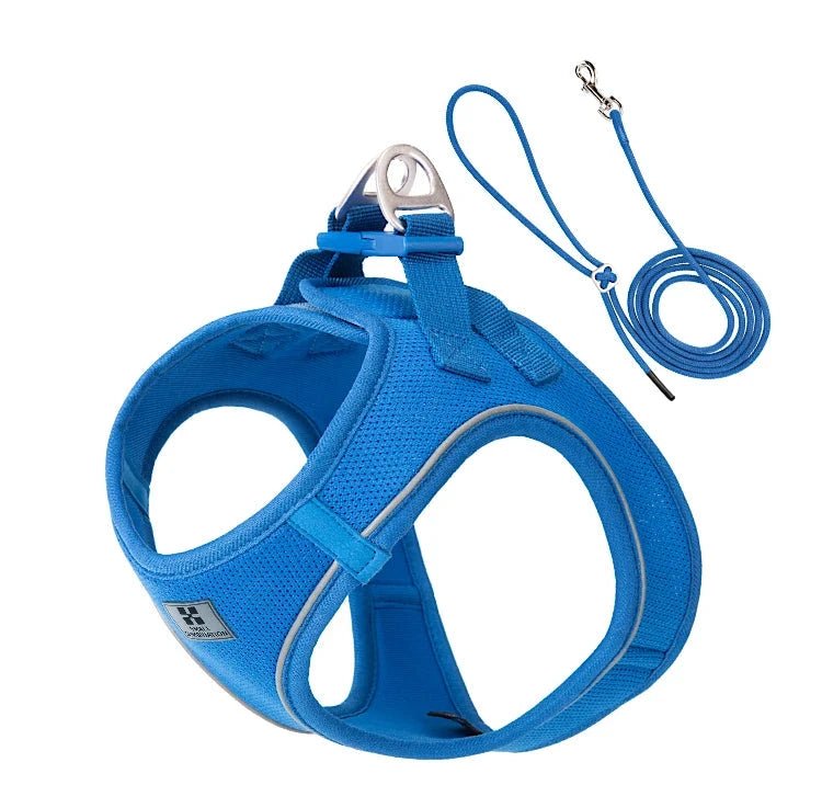 Harnais et laisse bleu pour les chiots de boutiquechien