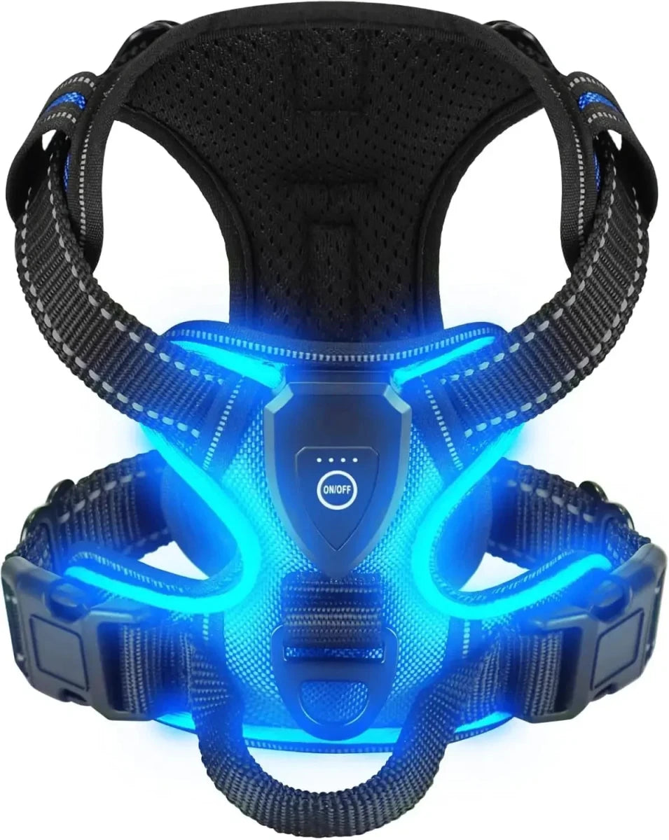 Harnais fluorescent pour gros chien de couleur bleu et noir