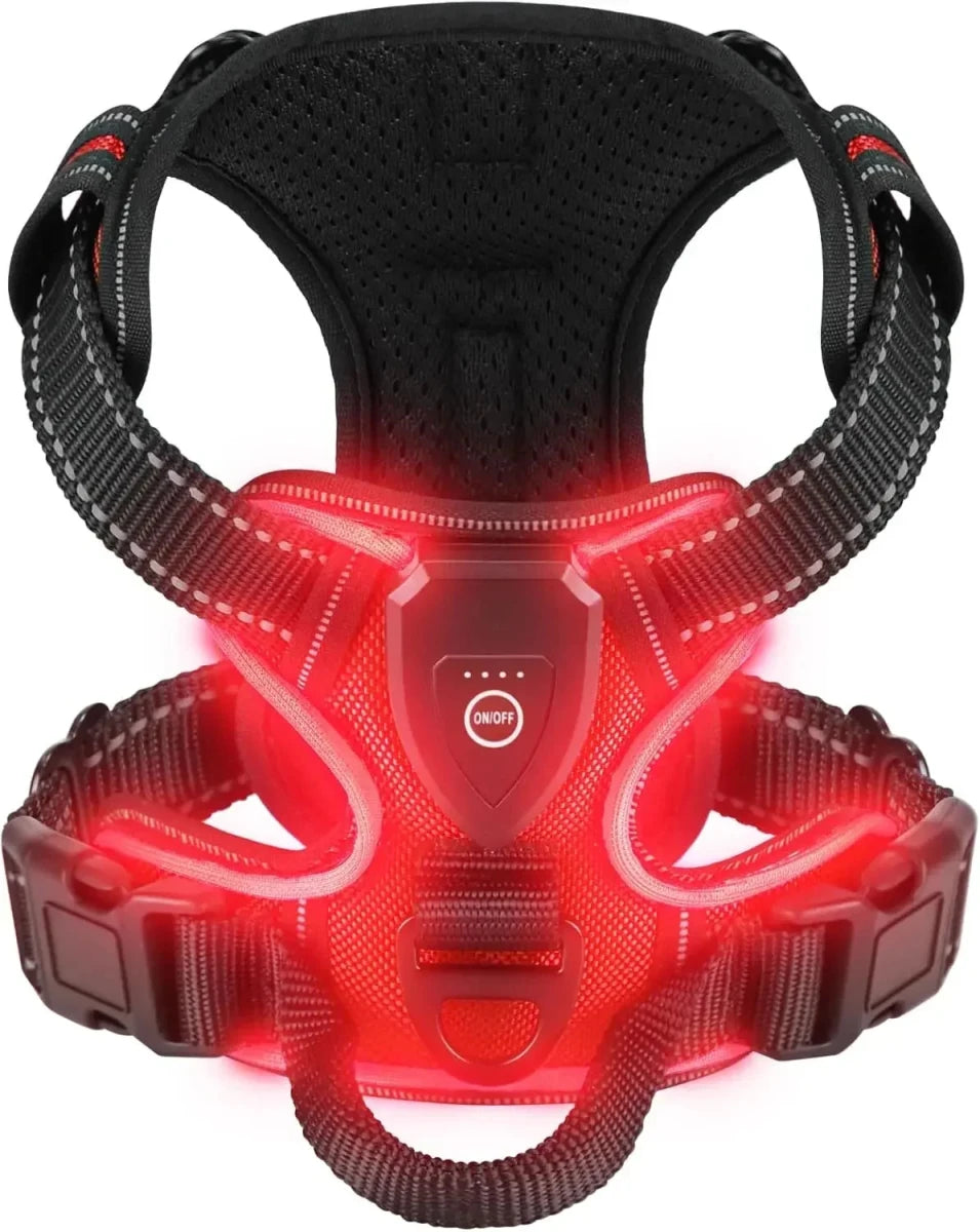Harnais fluorescent pour gros chien de couleur rouge et noir